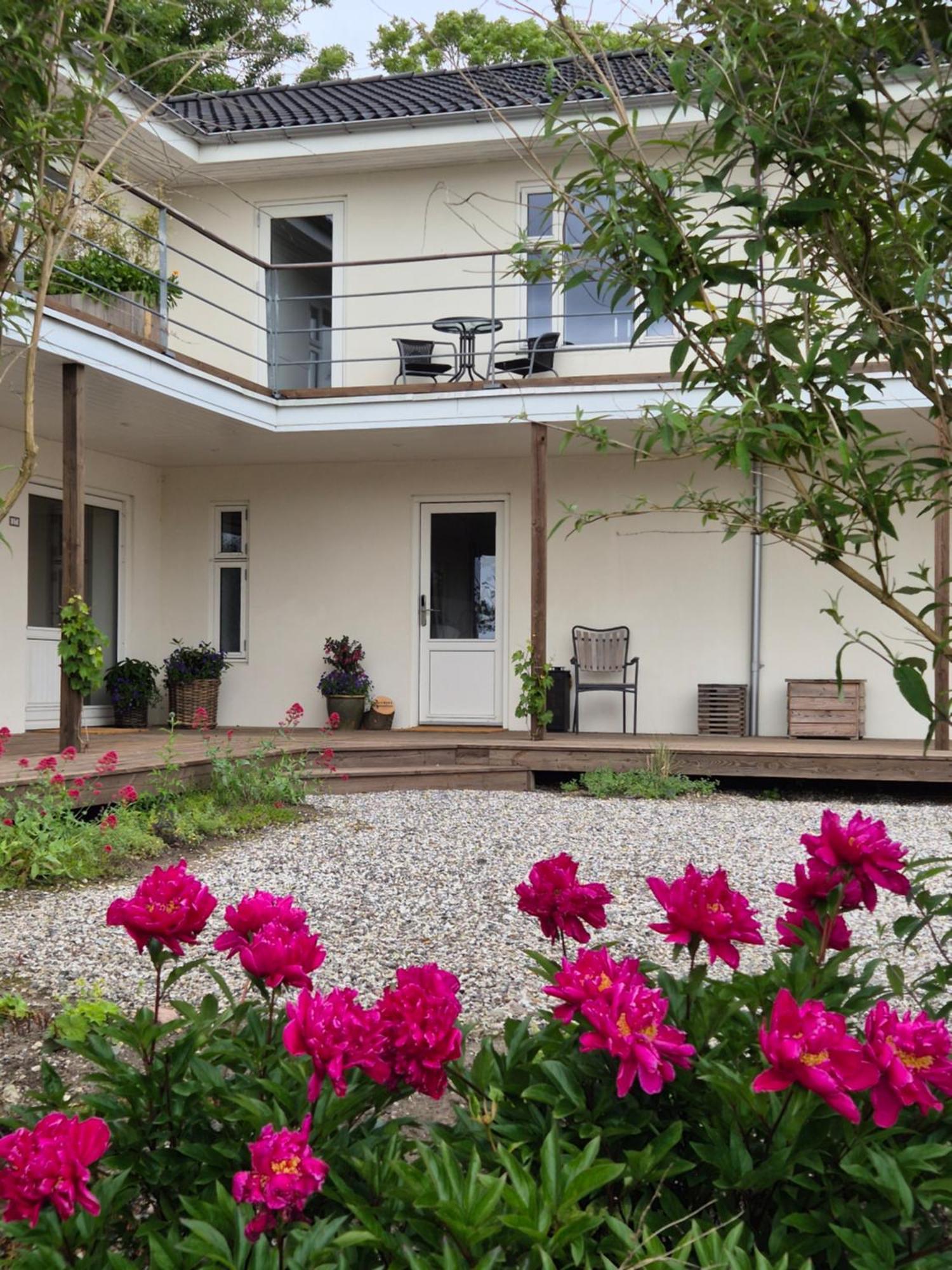 Mols Bed & Breakfast Knebel Extérieur photo