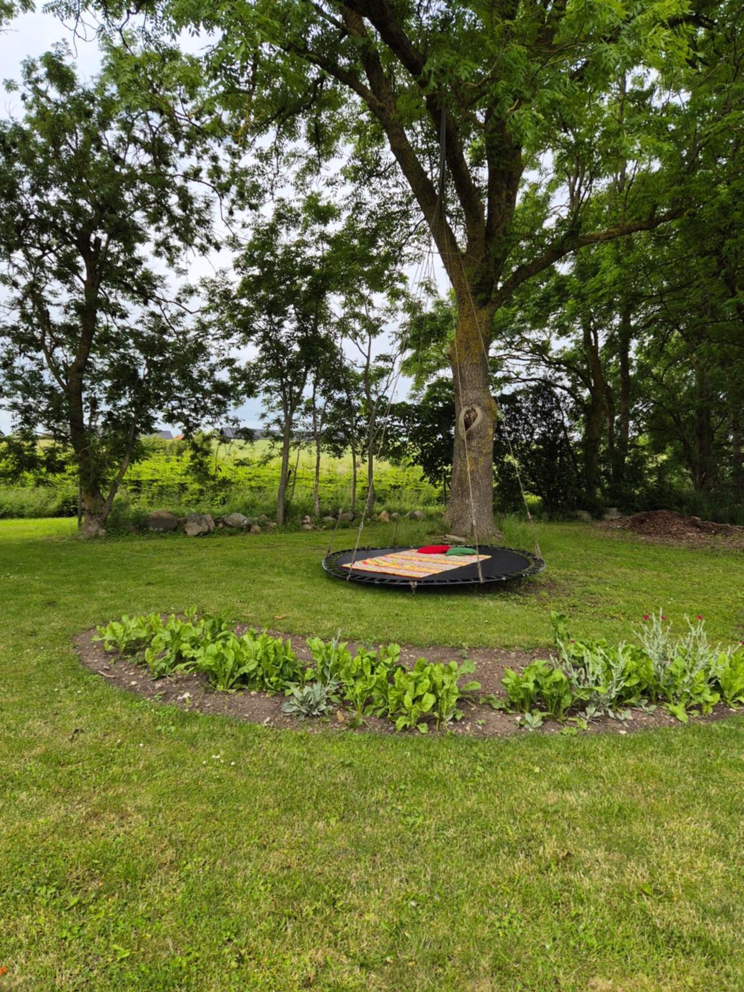 Mols Bed & Breakfast Knebel Extérieur photo